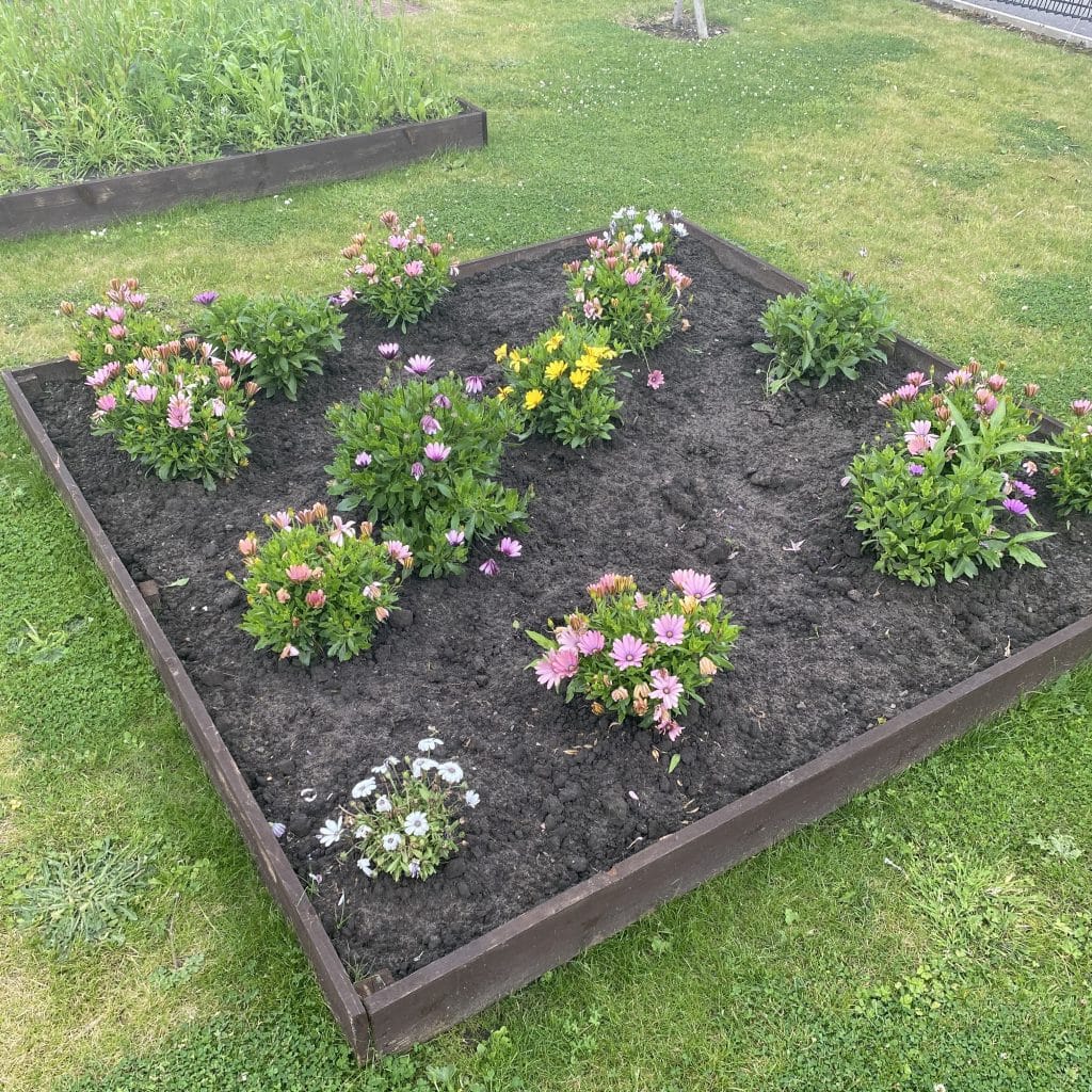 Picture of Jade's Feel Good Garden Club's garden. There are bunches of different types of flower blooms in fresh dirt.
