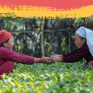 Picture of two Nepalese women holding a planter tree between them, surrounded by greenery.