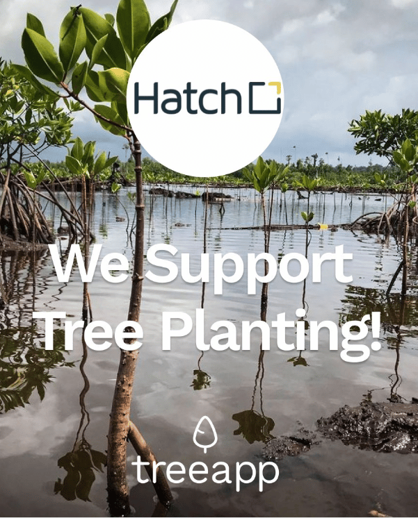 Picture of Hatch Instragram takeover post with Treeapp. The background is trees in a river and laid over is the Hatch and Treeapp logo with text reading, We support tree planting!